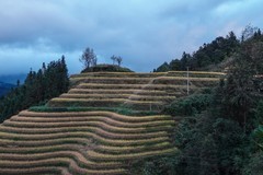 龙脊梯田3