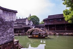 外出随拍（537）.