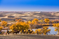 外出随拍（672）.