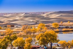 外出随拍（672）.