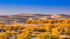 外出随拍（673）.