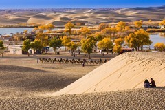 外出随拍（673）.