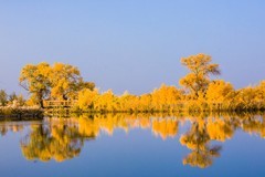 外出随拍（673）.