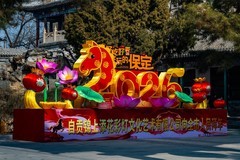 灯展—3(马年到-祝广大影友马年吉祥，万事如意，阖家幸福)