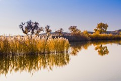 外出随拍（674）.