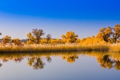 外出随拍（674）.