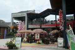 武昌新旅游景点（上）
