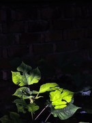 周边摄影拾零（三）