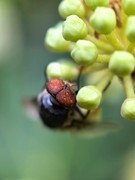 周边摄影拾零（三）