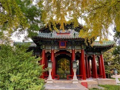 2025年-北京风光纪实拍-1075