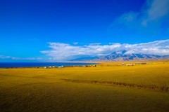 塞里木湖风景 1
