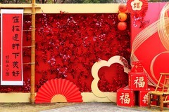杨府山公园梅花展