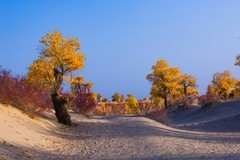 外出随拍（677）.