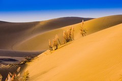 外出随拍（676）.