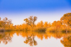 外出随拍（676）.