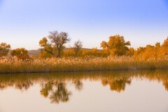 外出随拍（676）.