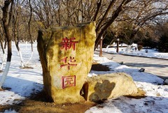 冬逛新华园（1）