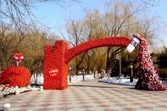 冬逛新华园（1）