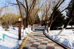 冬逛新华园（1）