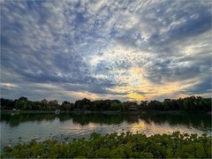 2026年- 陶然亭公园纪实拍-0563