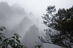 三清天下秀--续