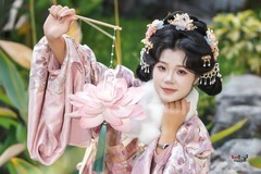 【吉马衔莲·新岁欢】---小柒