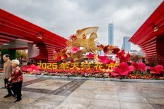 迎春花市——天河