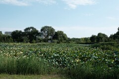 永定公园