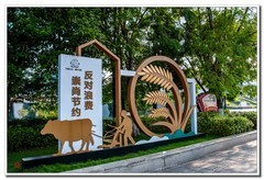 大足新城区