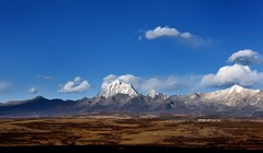 新都桥.鱼子西【5】