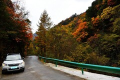 秦岭秋色【23】