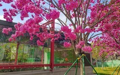 [26054] 大冲口地铁站