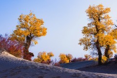 外出随拍（678）.