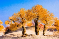 外出随拍（678）.