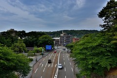 日本中部升龙道印象——金沢城【下】