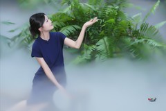 【雾中美女】---小晴