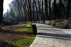 初冬人民公园随拍