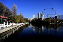 初冬人民公园随拍