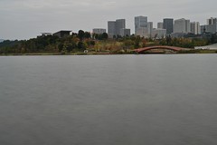 成都兴隆湖初冬景色