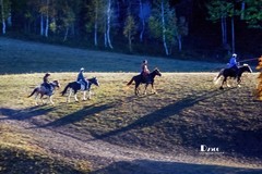 金秋乌兰布统——丘林中的牧马人（9）