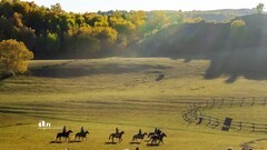 金秋乌兰布统——丘林中的牧马人（9）