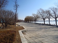 大年初三瞎吧乱拍几张