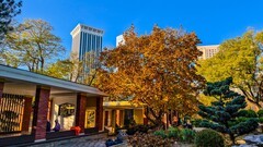 立 冬 的 劳 动 公 园 （ 二 ）