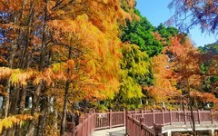 [26055] 番禺大夫山