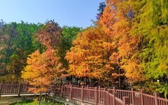 [26055] 番禺大夫山