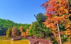 [26055] 番禺大夫山