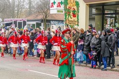 小镇“狂欢节”（德国）