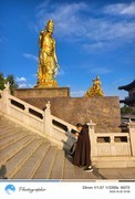 庐山东林寺游记--6