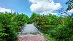初秋湿地（续1）