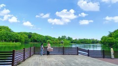 初秋湿地（续1）